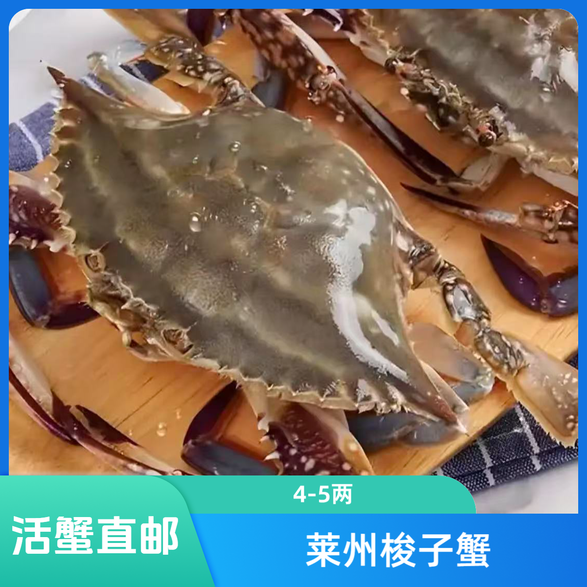 莱州鲜活海蟹 （规格5-6两/只  一斤约2只）
