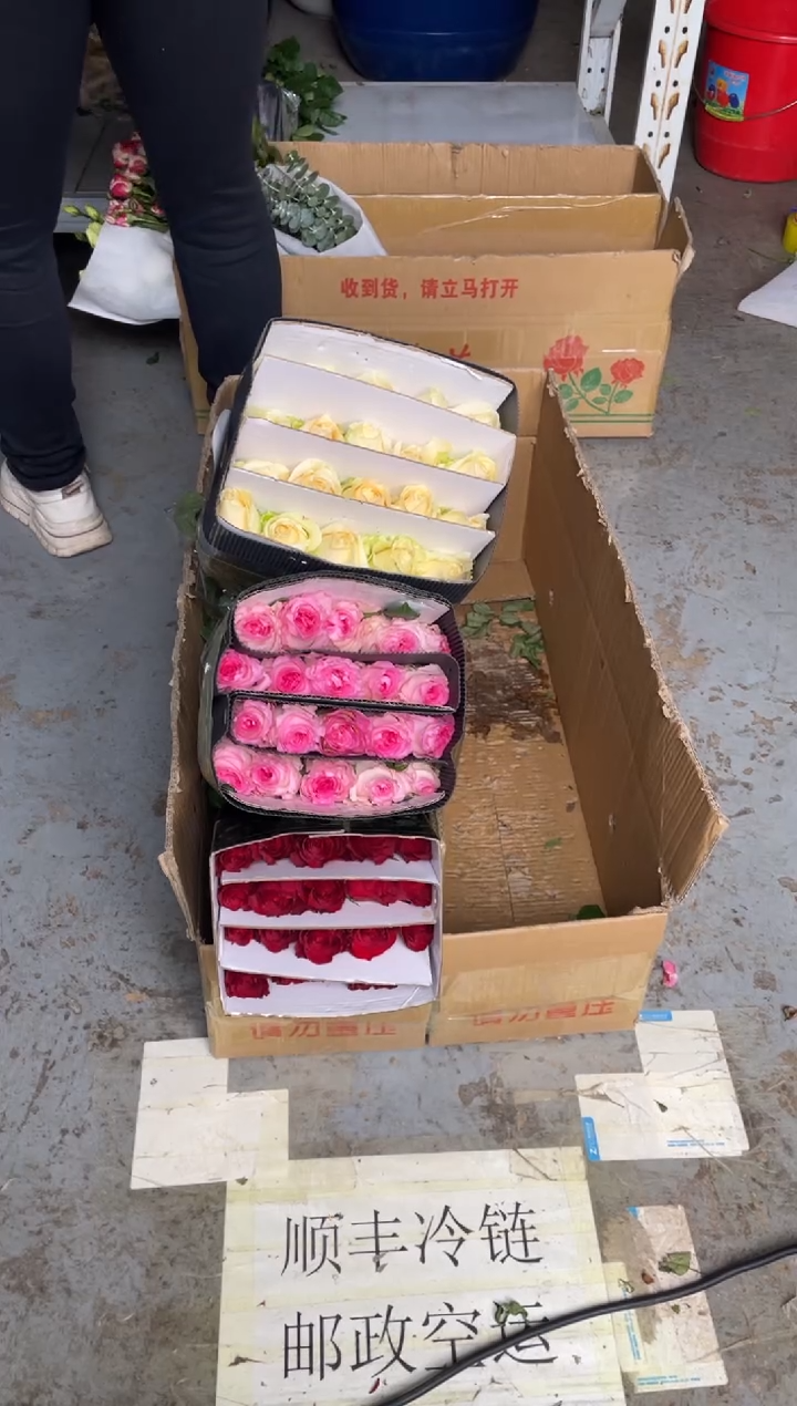 高原红20枝+洛神20枝+香槟20枝