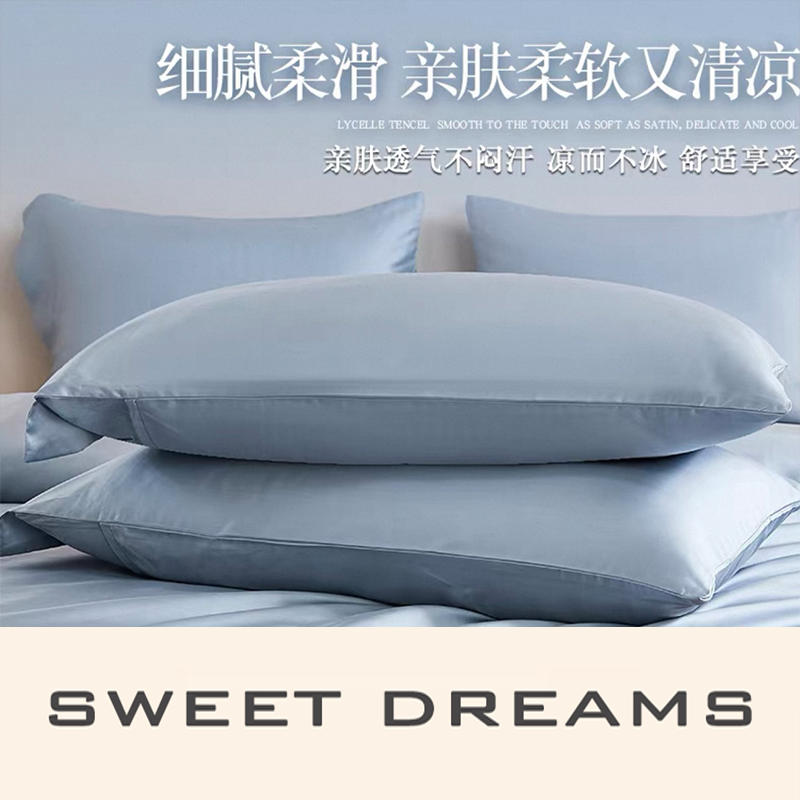 【ISNUG英适耐】促销 枕套一对48*74 6贡缎全棉品宣价