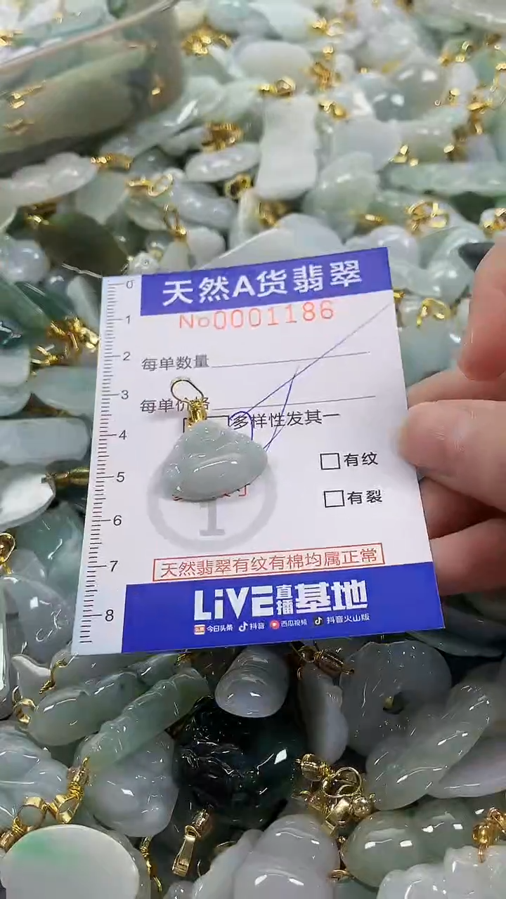 颈饰未镶嵌翡翠纯天然a货翡翠