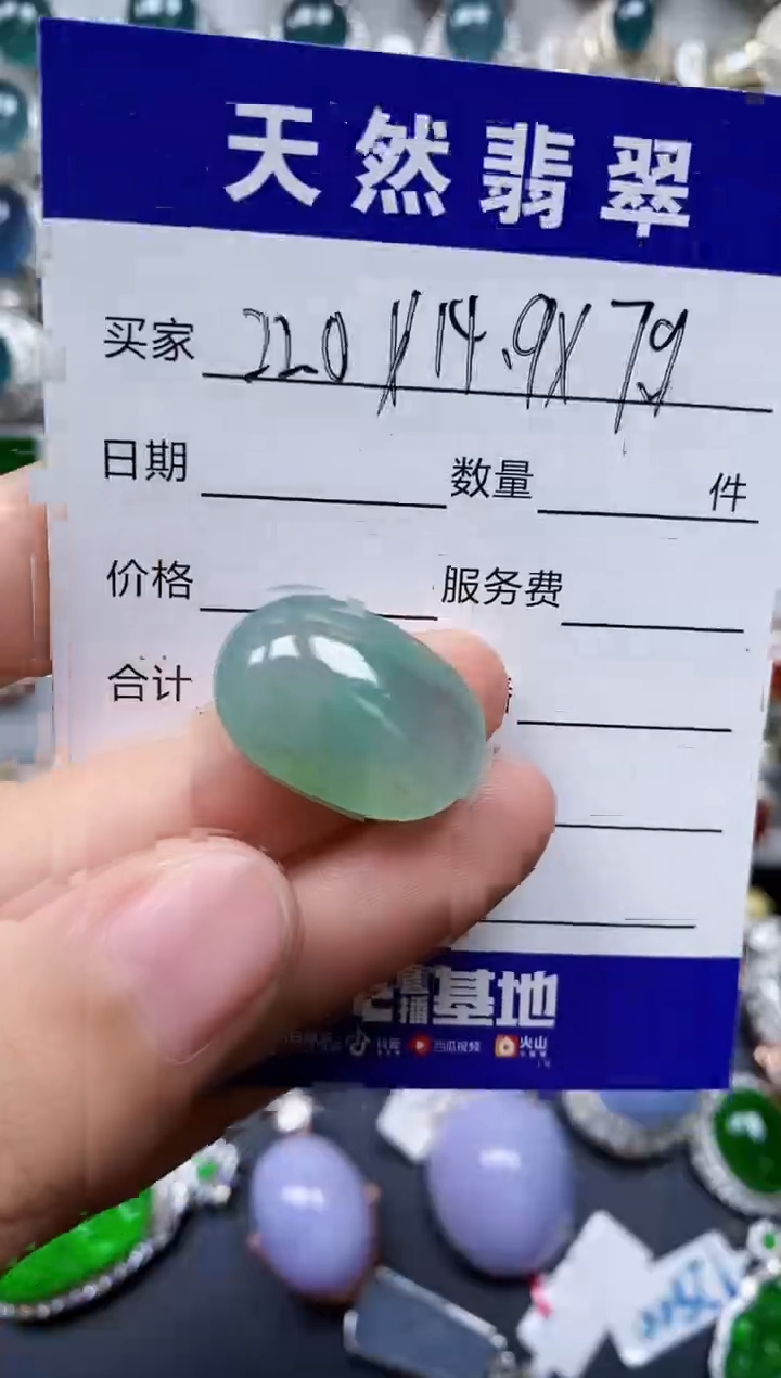 【闪购商品】翡翠颈饰未镶嵌00000511