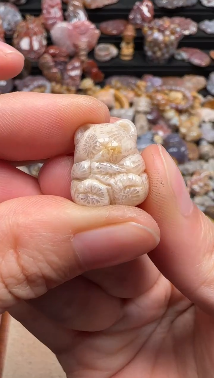 【闪购商品】硅化珊瑚（珊瑚玉）颈饰未镶嵌454