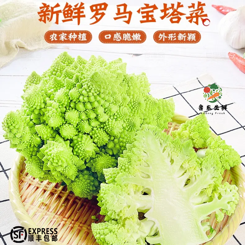 【新鲜宝塔菜】正宗罗马花椰菜绿佛头菜西兰花意大利宝塔花菜自然