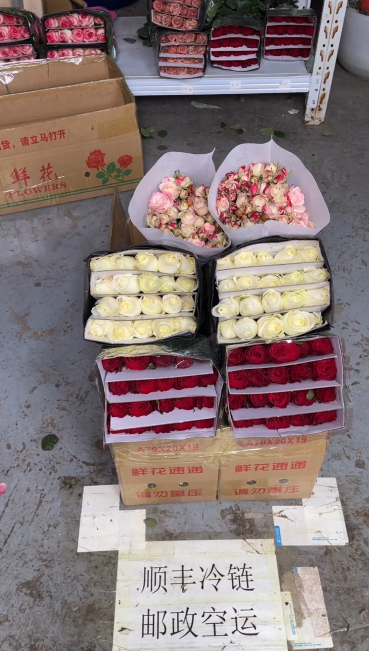 高原红20枝+骄傲20枝+折射10枝