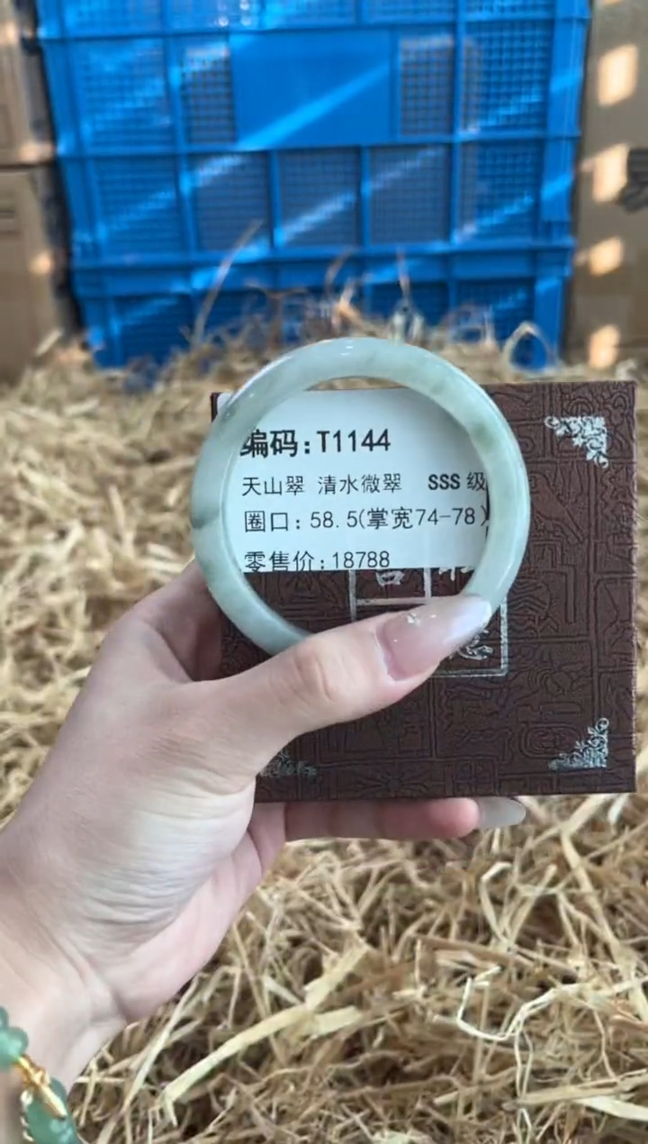 未镶嵌手镯石英质玉T1144