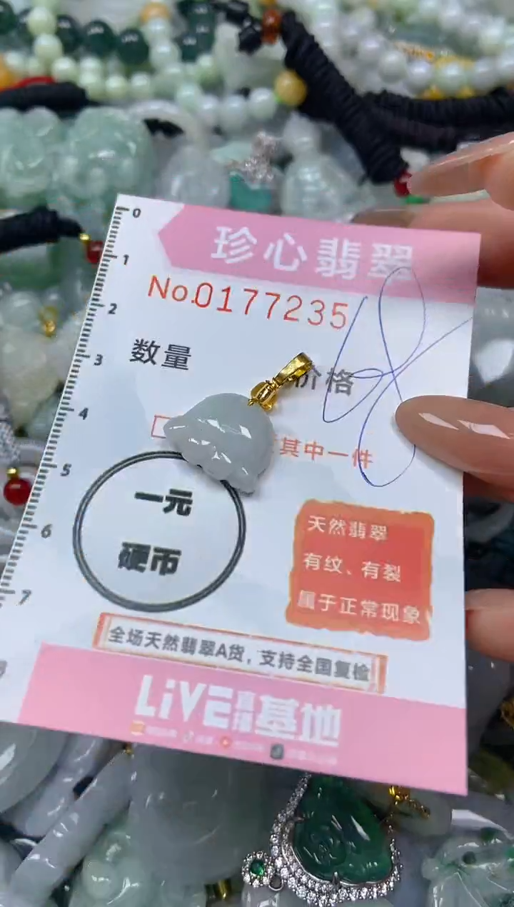 【闪购商品】翡翠颈饰未镶嵌闪购0177235