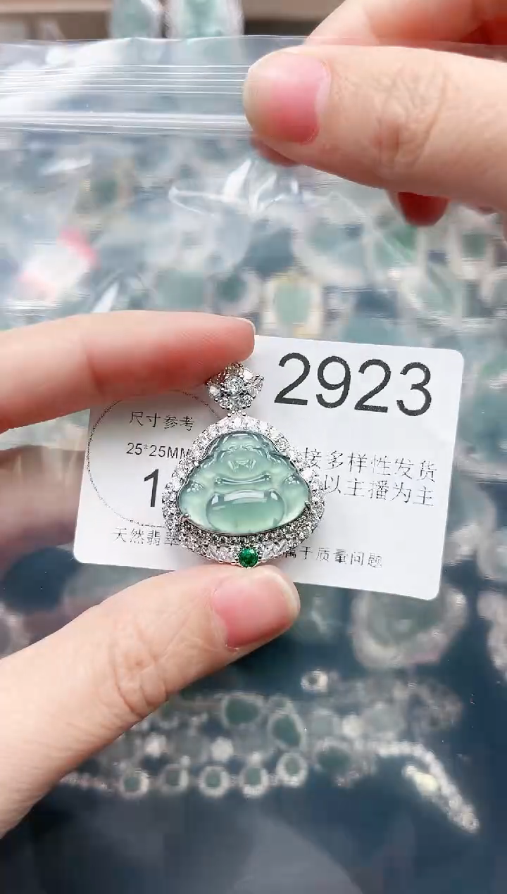 【闪购商品】翡翠颈饰未镶嵌赠皮绳2923