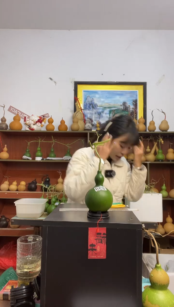 茹*899天然葫芦摆件 一物一拍龙头不保售后