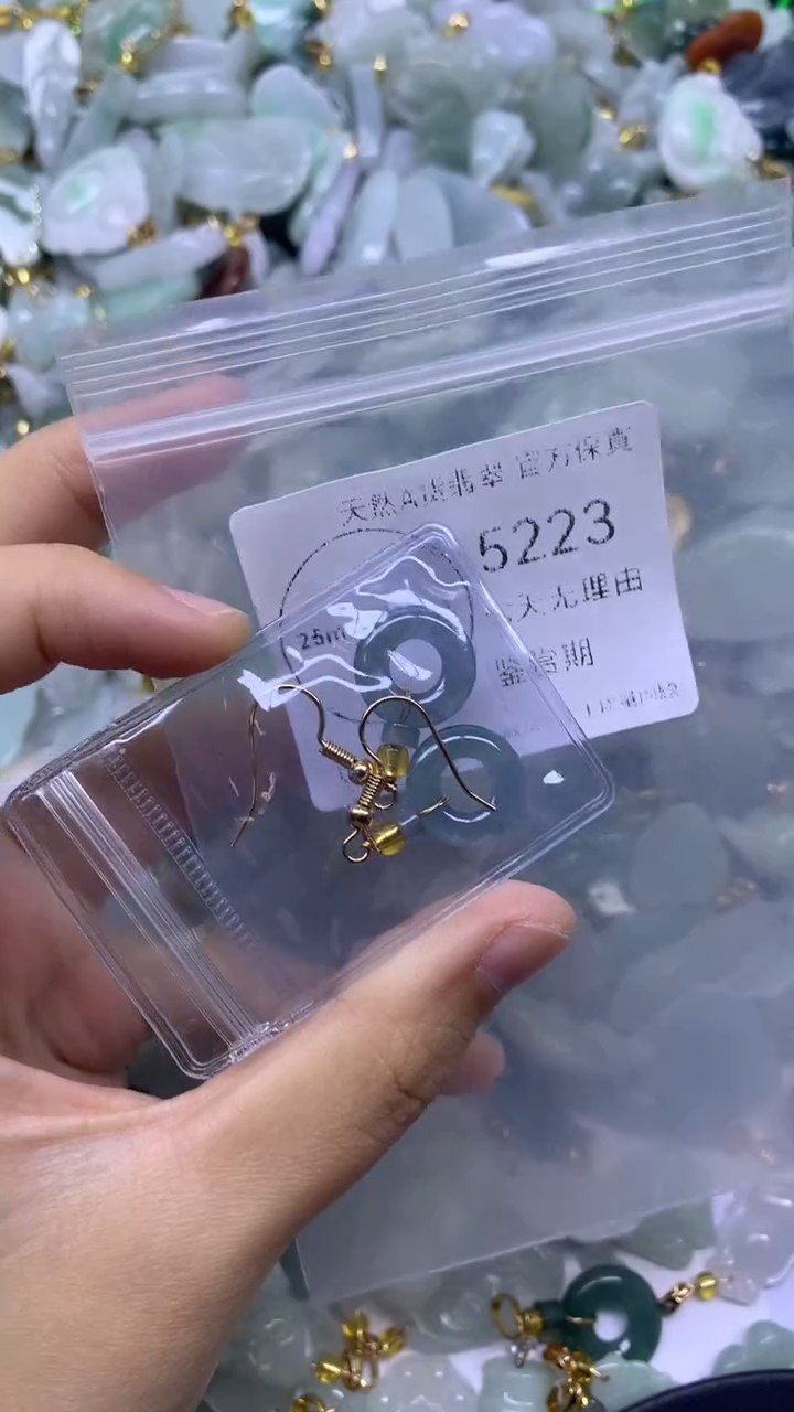 颈饰未镶嵌翡翠1