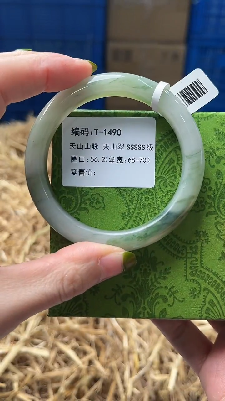 未镶嵌手镯石英质玉T1490