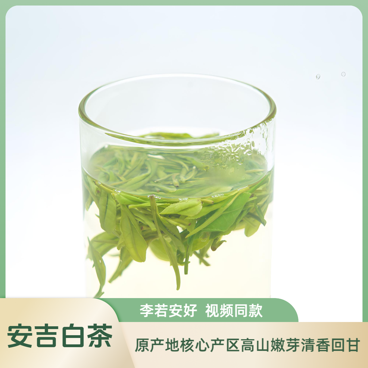 【李若安好视频同款】原产地安吉白茶2025新茶鲜爽浓香型高山绿茶
