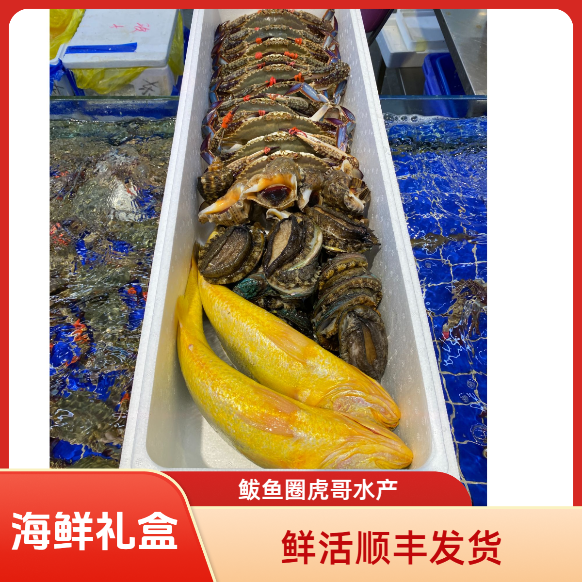 鲜活海鲜拼搭礼盒节日送礼佳品（顺丰发货）