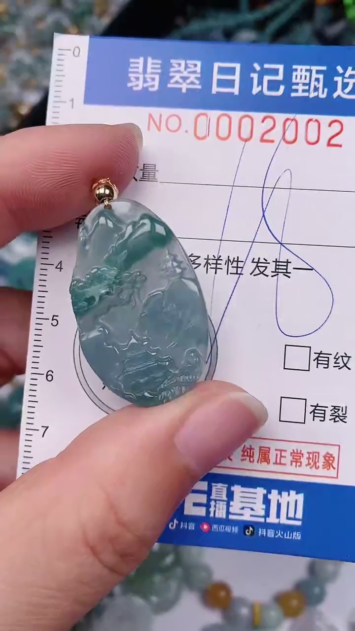 【闪购商品】翡翠颈饰未镶嵌00002002