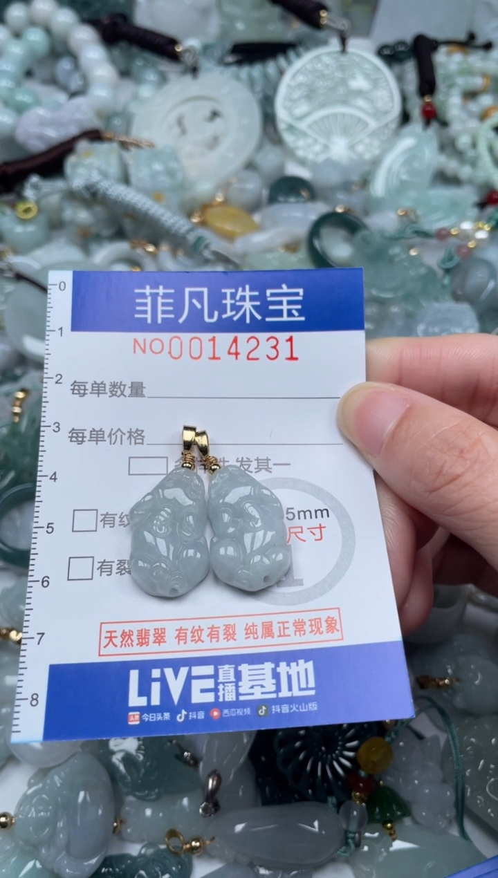 颈饰未镶嵌翡翠14231