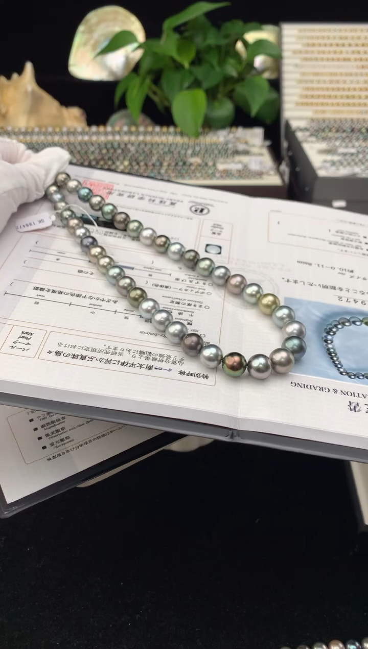 【闪购商品】海水珍珠颈饰银S925镶嵌海水大溪地珍珠项链10-12mm