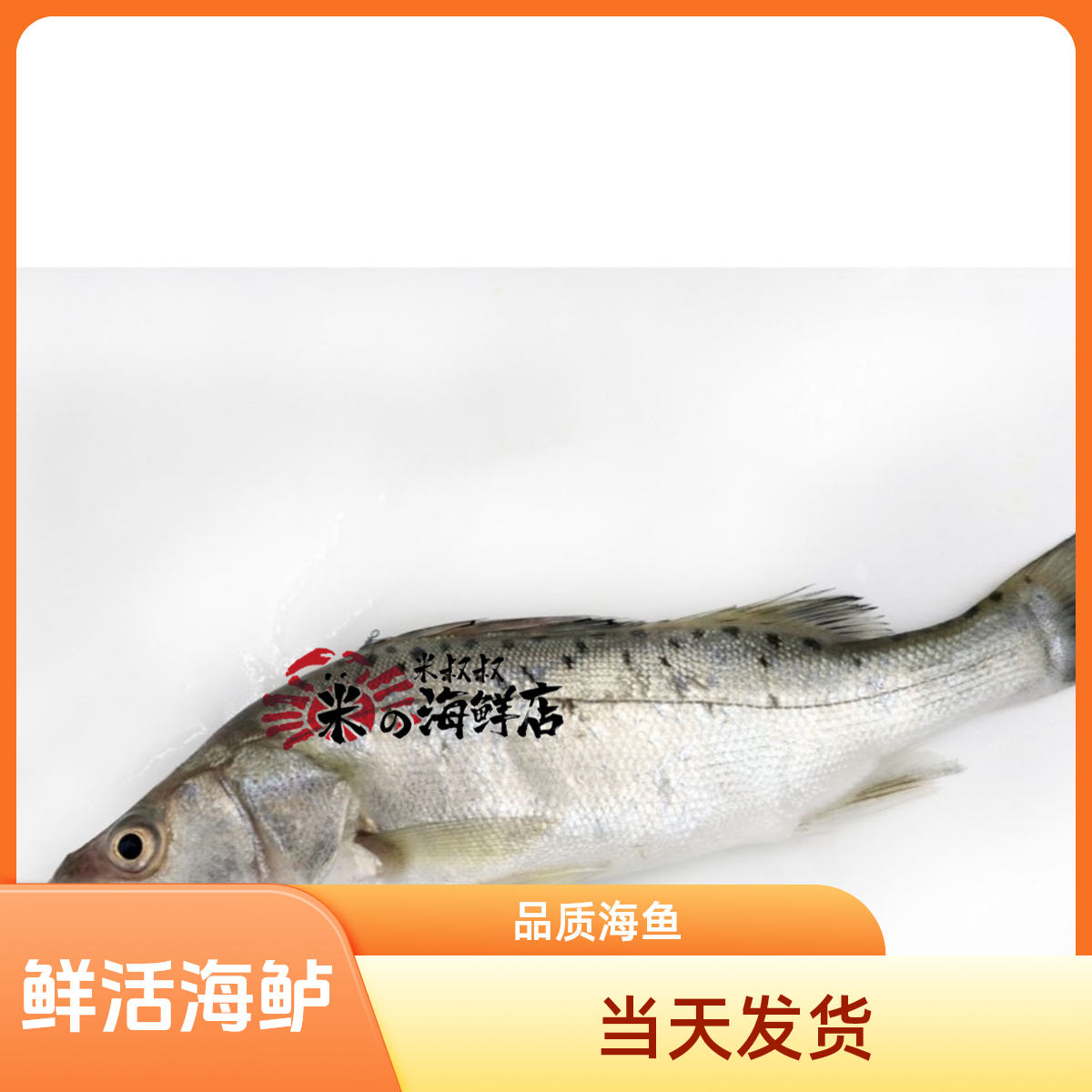 海鲈鱼（鲜活）550g+默认宰杀
