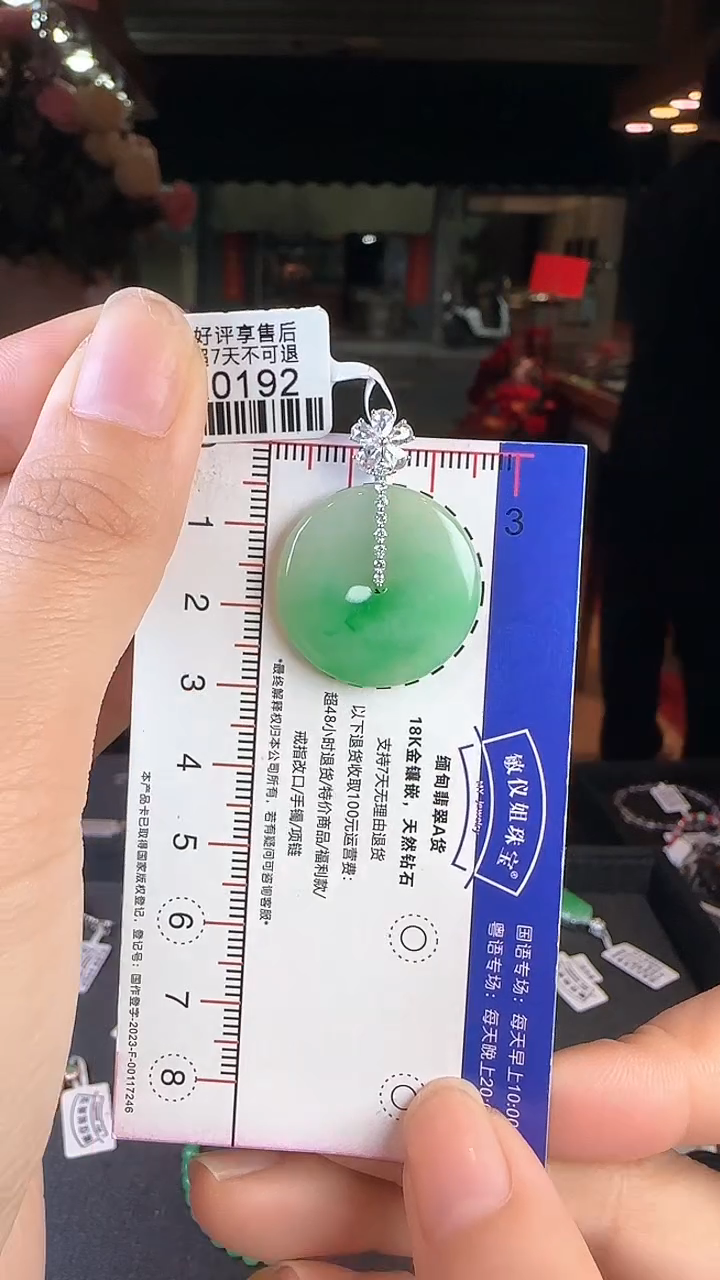 【闪购商品】翡翠颈饰18K金镶嵌HA0192绿平安扣
