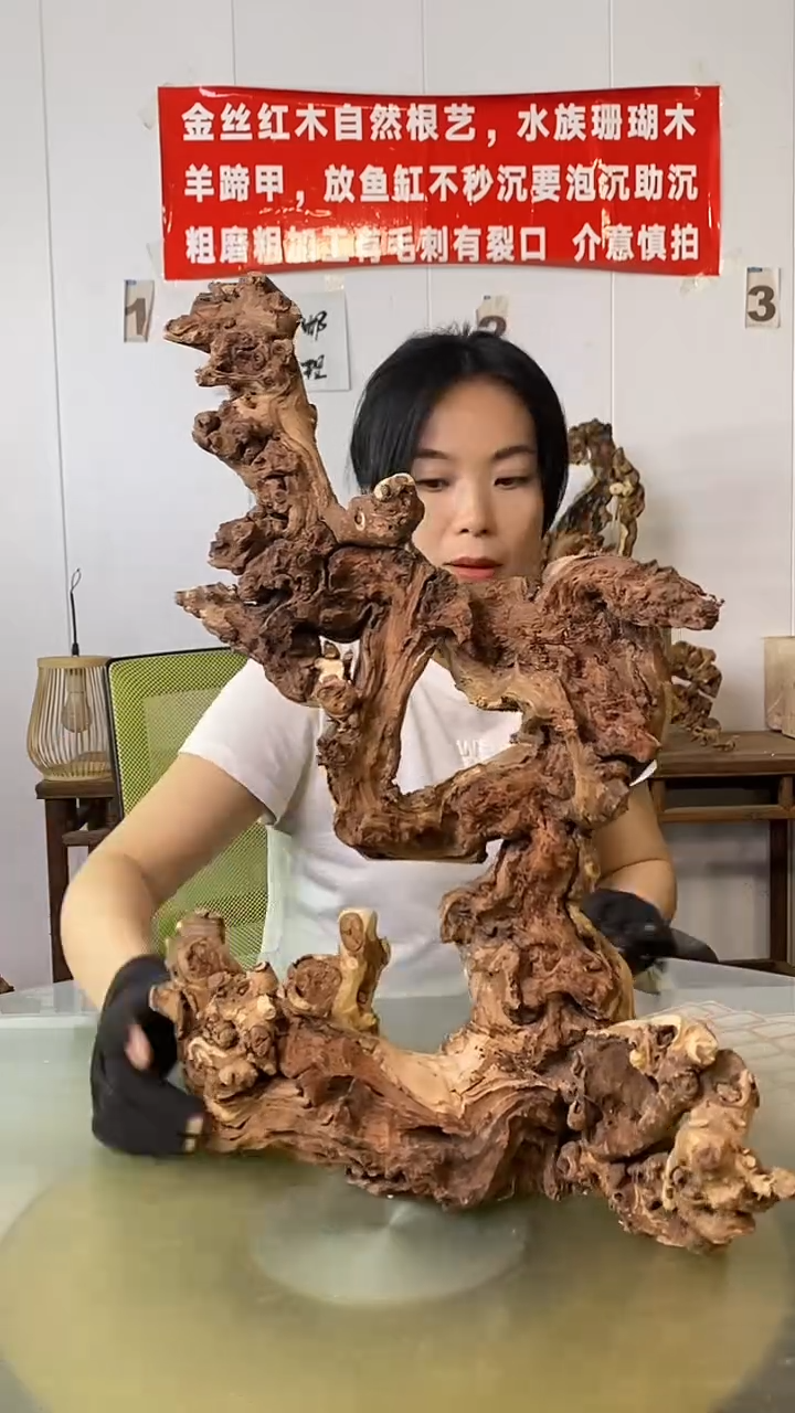 香榧木u*二金丝红木 羊蹄甲