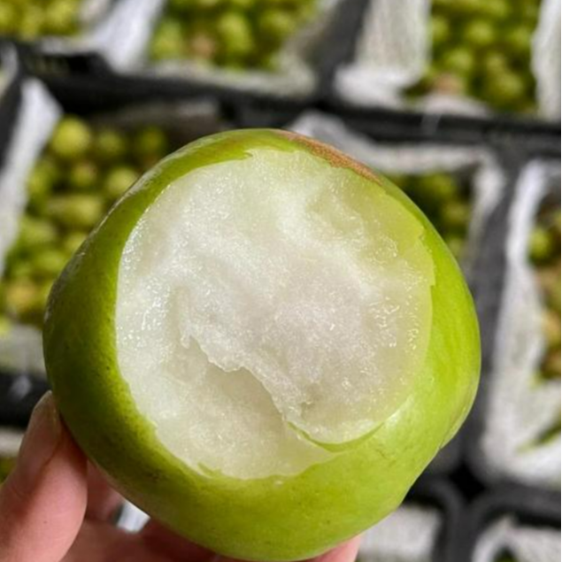 【一盒】苹果枣（6颗500g左右）低糖青甜水果