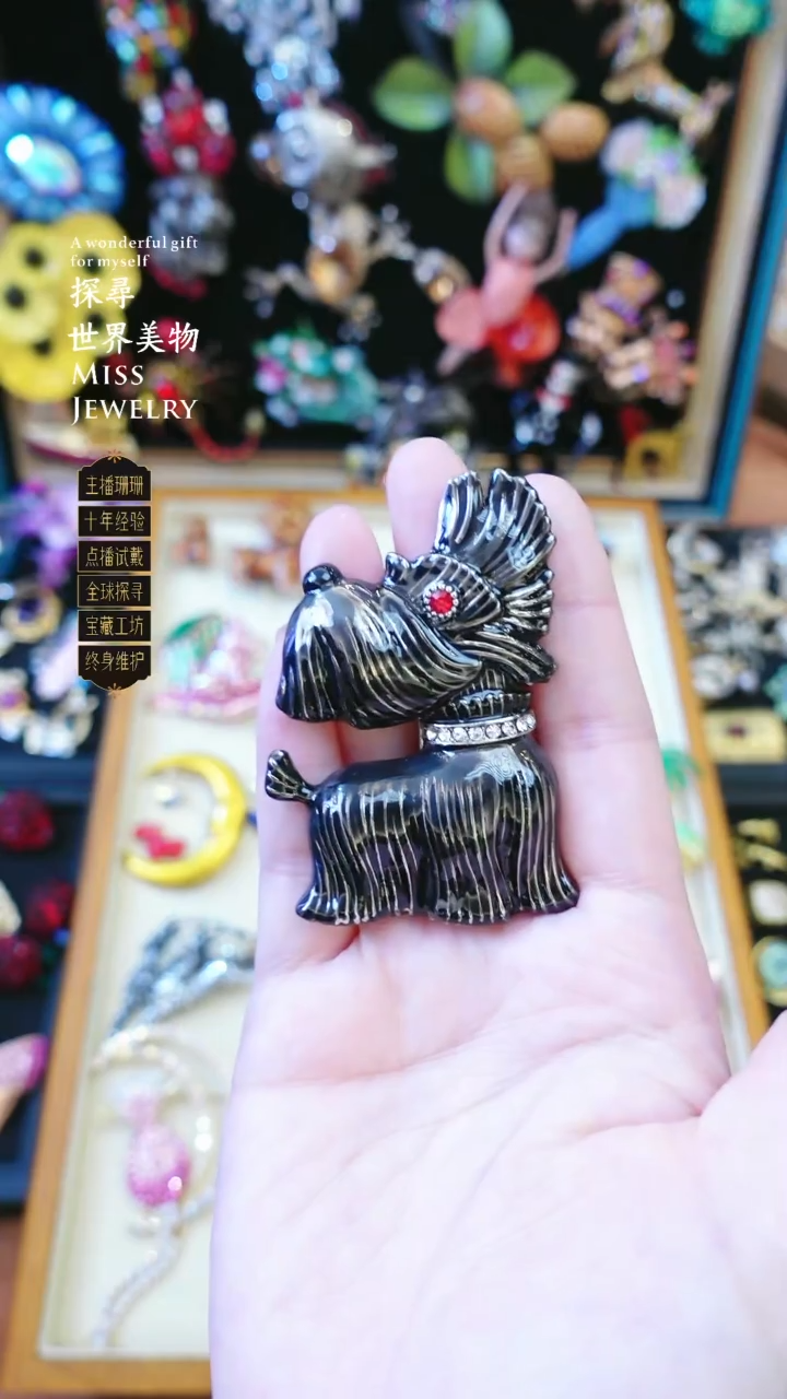 大小姐直播间bw胸针