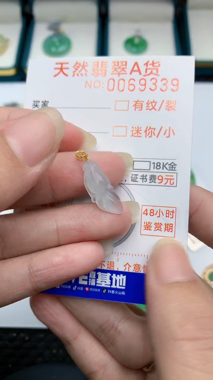 【闪购商品】翡翠颈饰18K金镶嵌            8