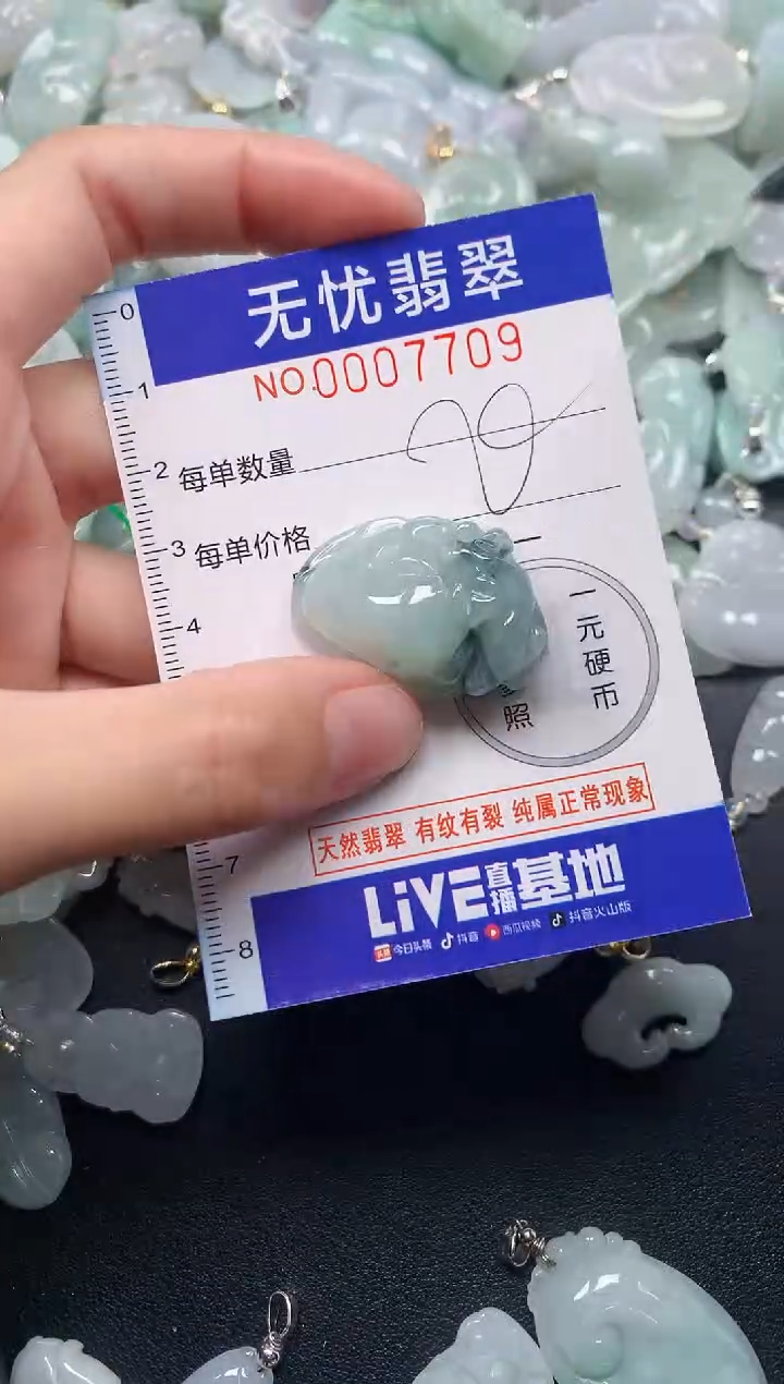 颈饰未镶嵌翡翠7709