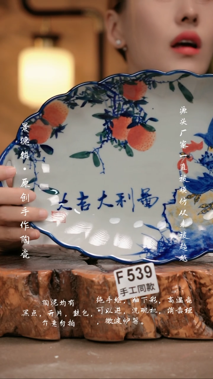 其他F539新十二器