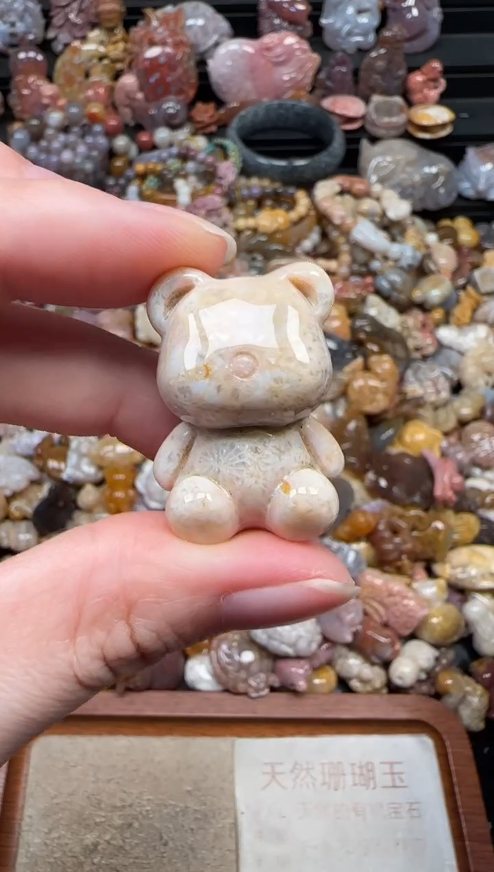 颈饰未镶嵌硅化珊瑚（珊瑚玉）011