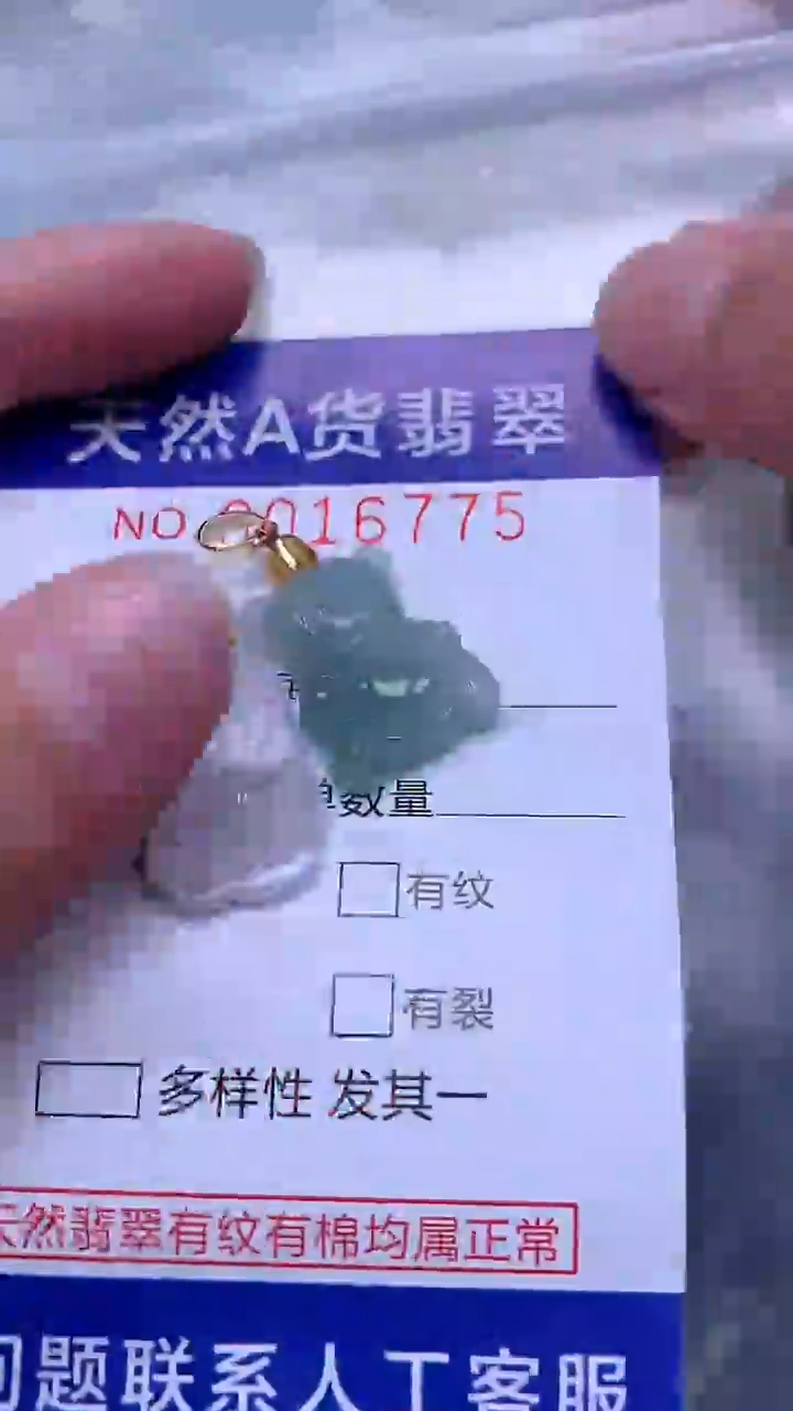 翡翠未镶嵌吊坠(不含链)1