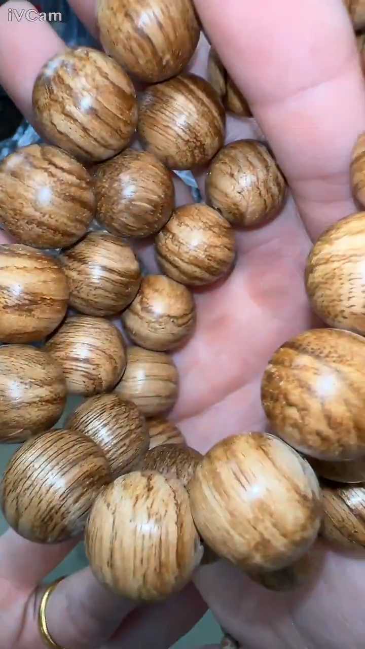 索隆岛16mm单圈多样性发其一