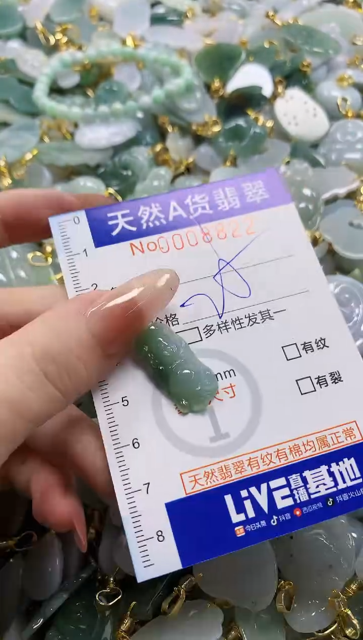 颈饰未镶嵌翡翠天然A货翡翠