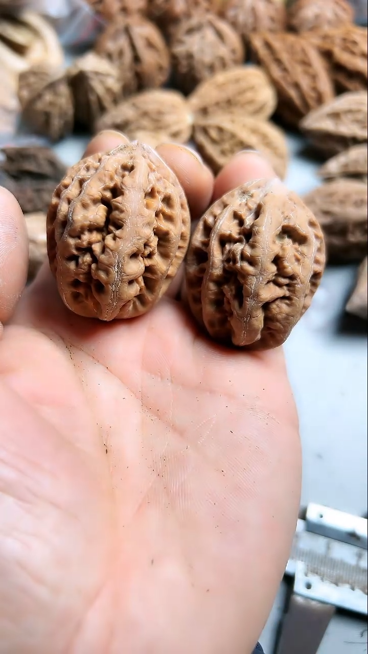 核桃东北野生大秋子2