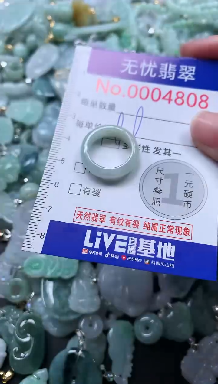 颈饰未镶嵌翡翠4808