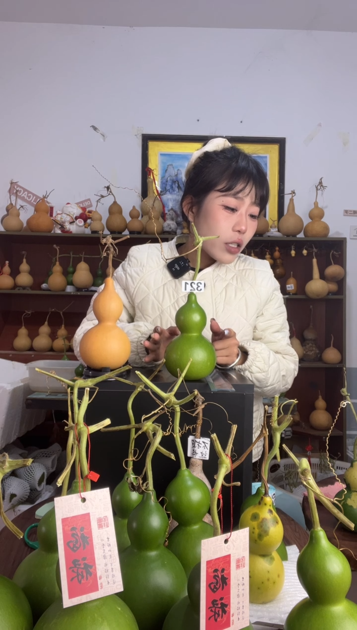 321天然葫芦摆件 一物一拍龙头不保售后