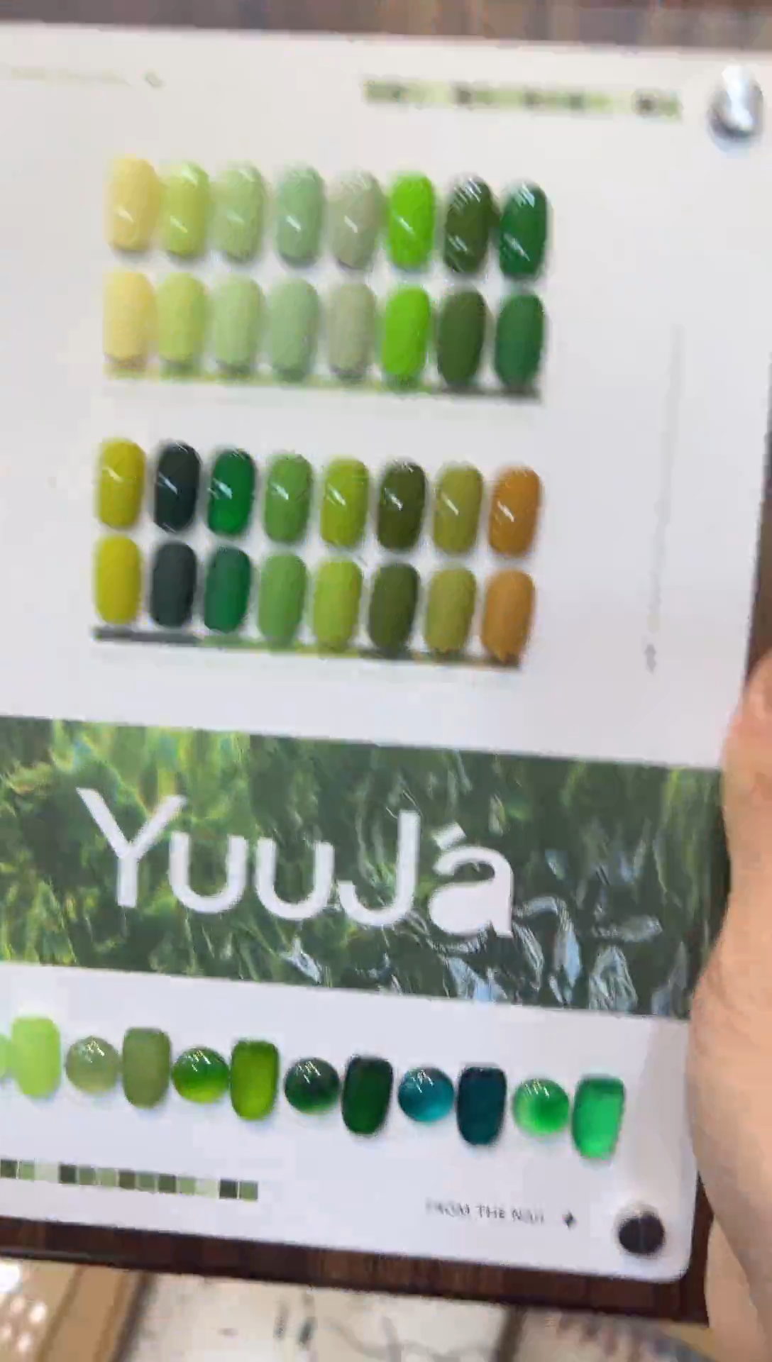 49  釉甲发财绿22色