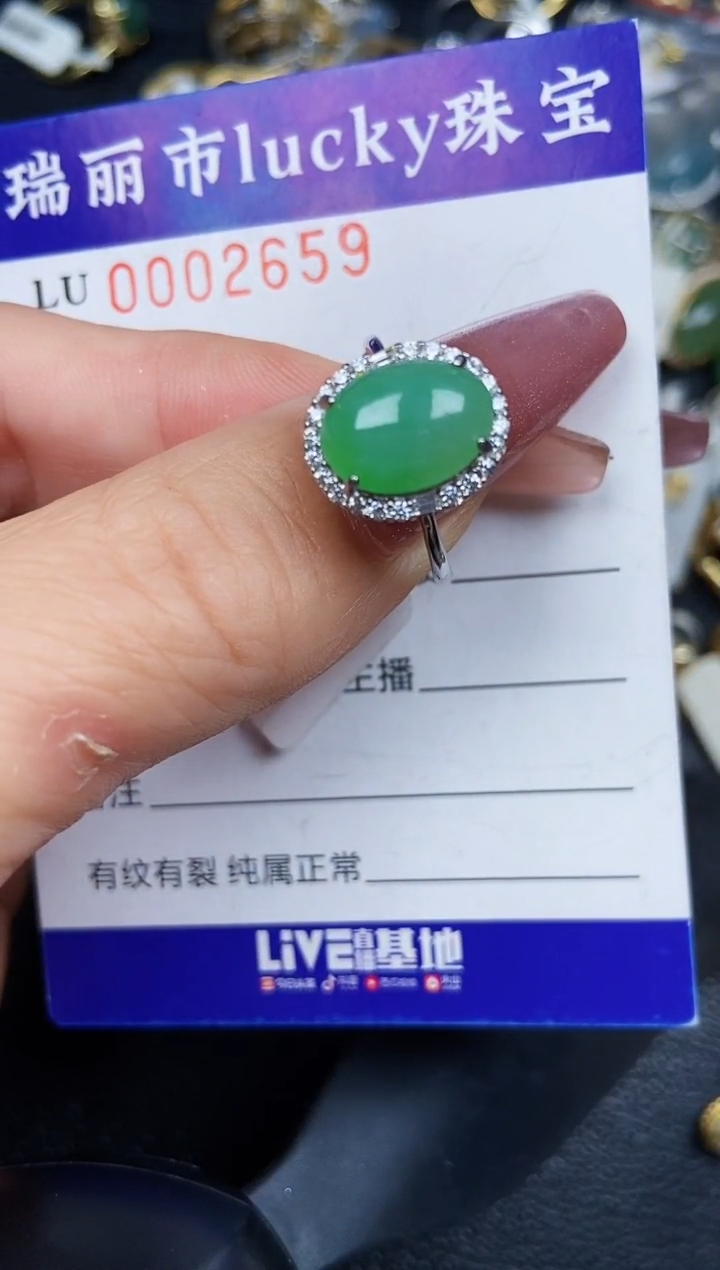 翡翠银S925镶嵌颈饰2659