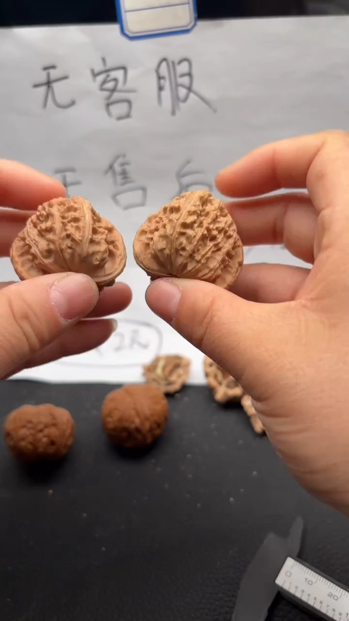 把件文玩核桃118白狮子