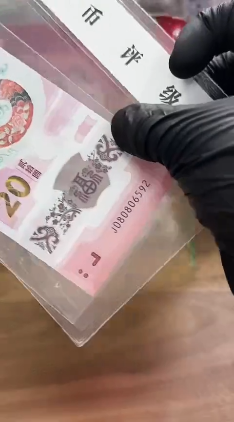 【闪购商品】塑料蛇钞-如意蛇单张 080806892