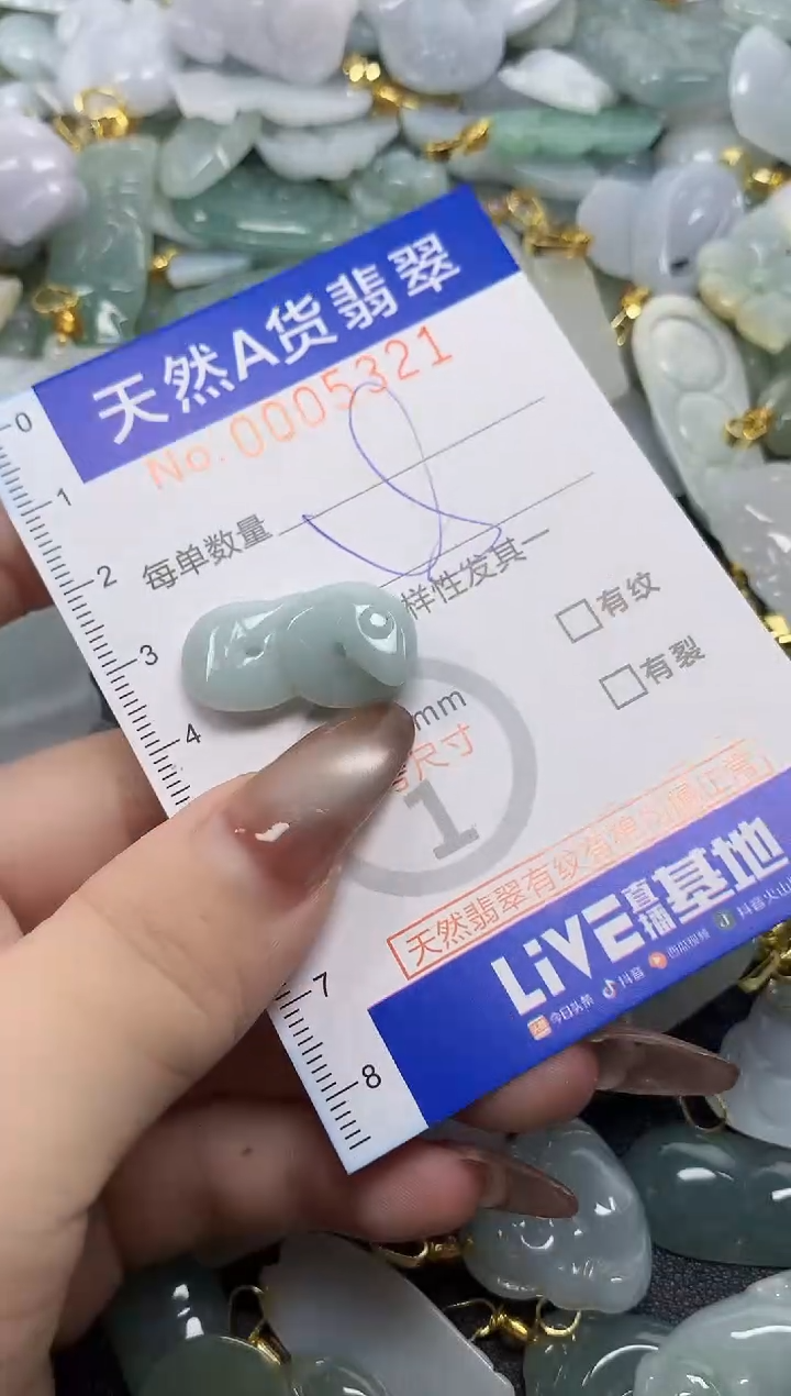 翡翠未镶嵌颈饰天然A货翡翠