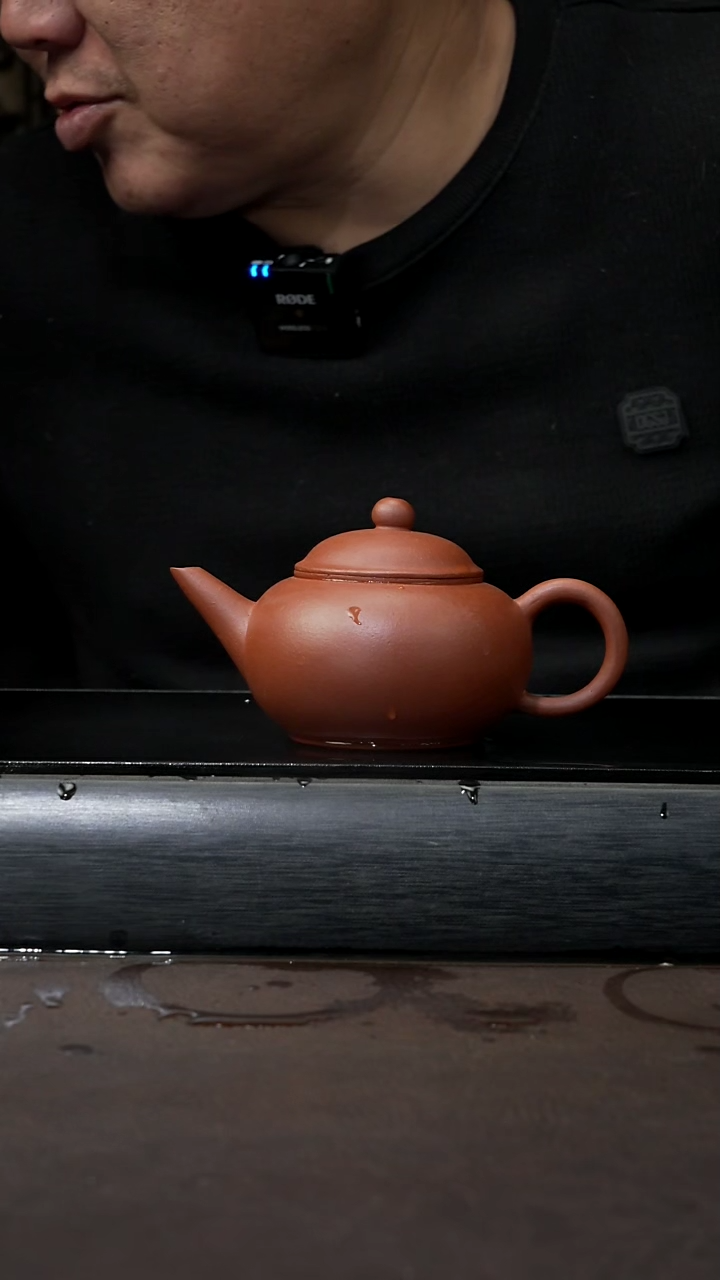 【闪购商品】紫砂茶壶老红泥 水平200cc 008