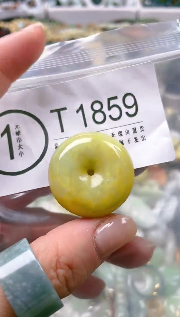 【闪购商品】翡翠颈饰未镶嵌/T/翡翠A货一图一物