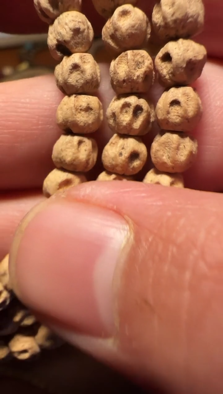 【闪购商品】柏香籽/百香籽吊坠TG0665