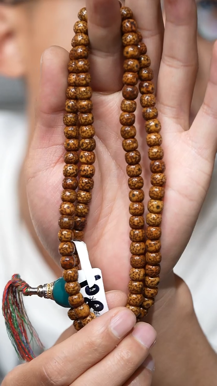 【闪购商品】老星月(多样性发货，发其一）