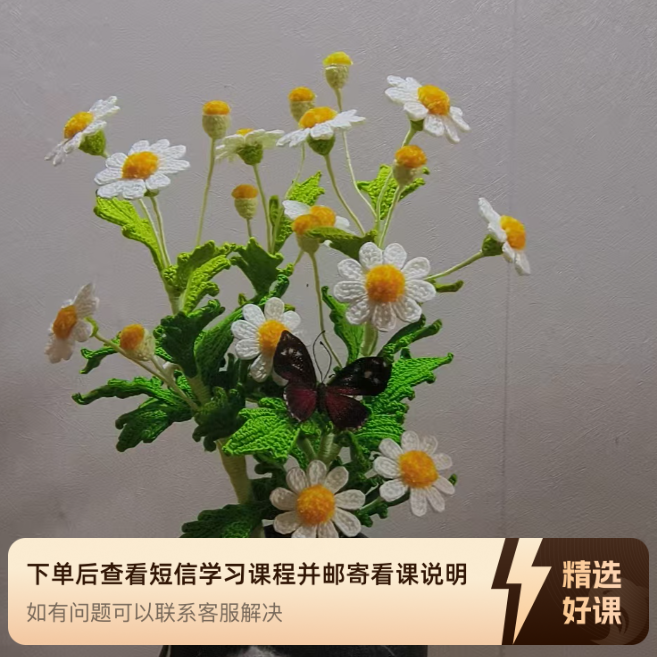 小糖玩毛线新款小雏菊（留意短信解锁课程）