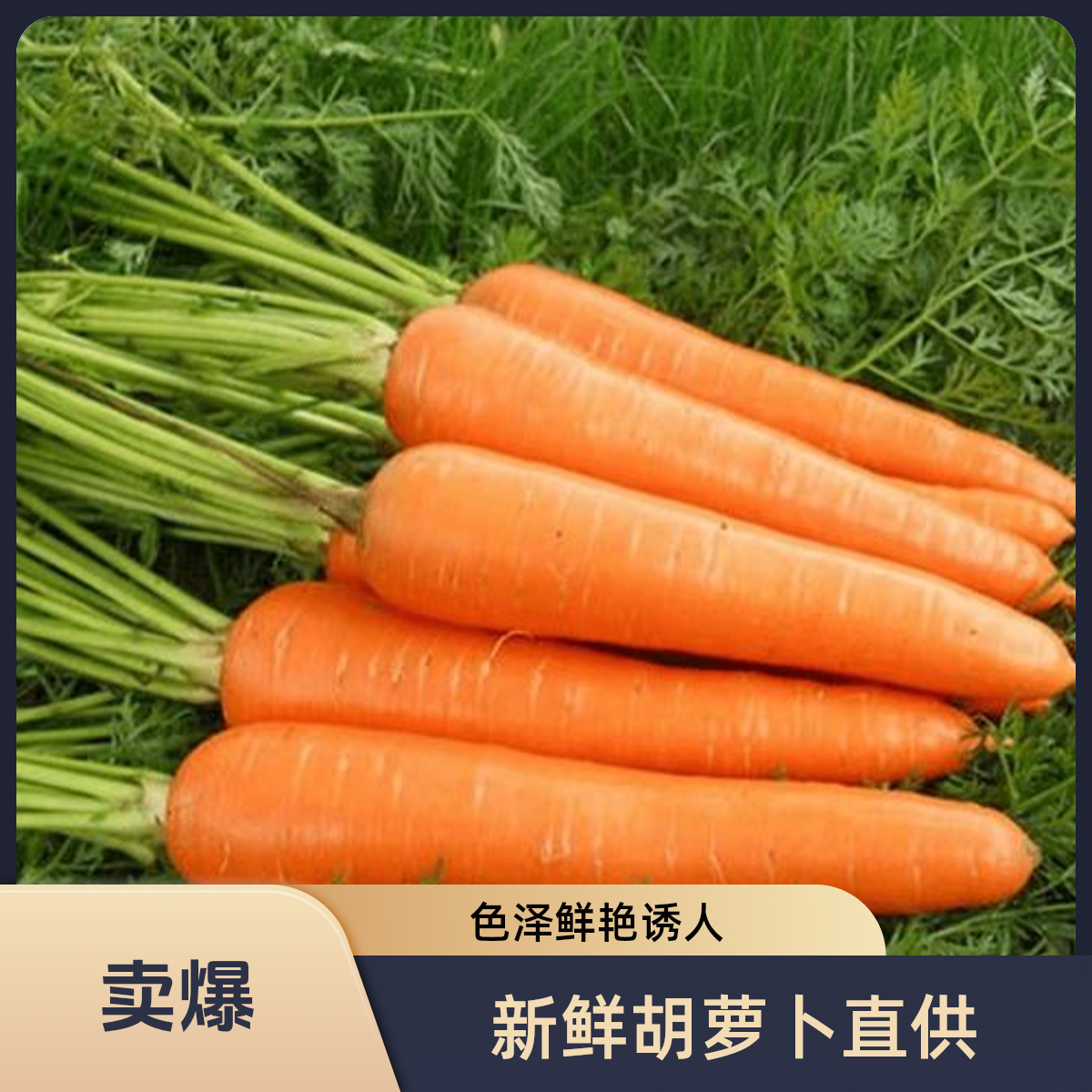 精品胡萝卜 约550g