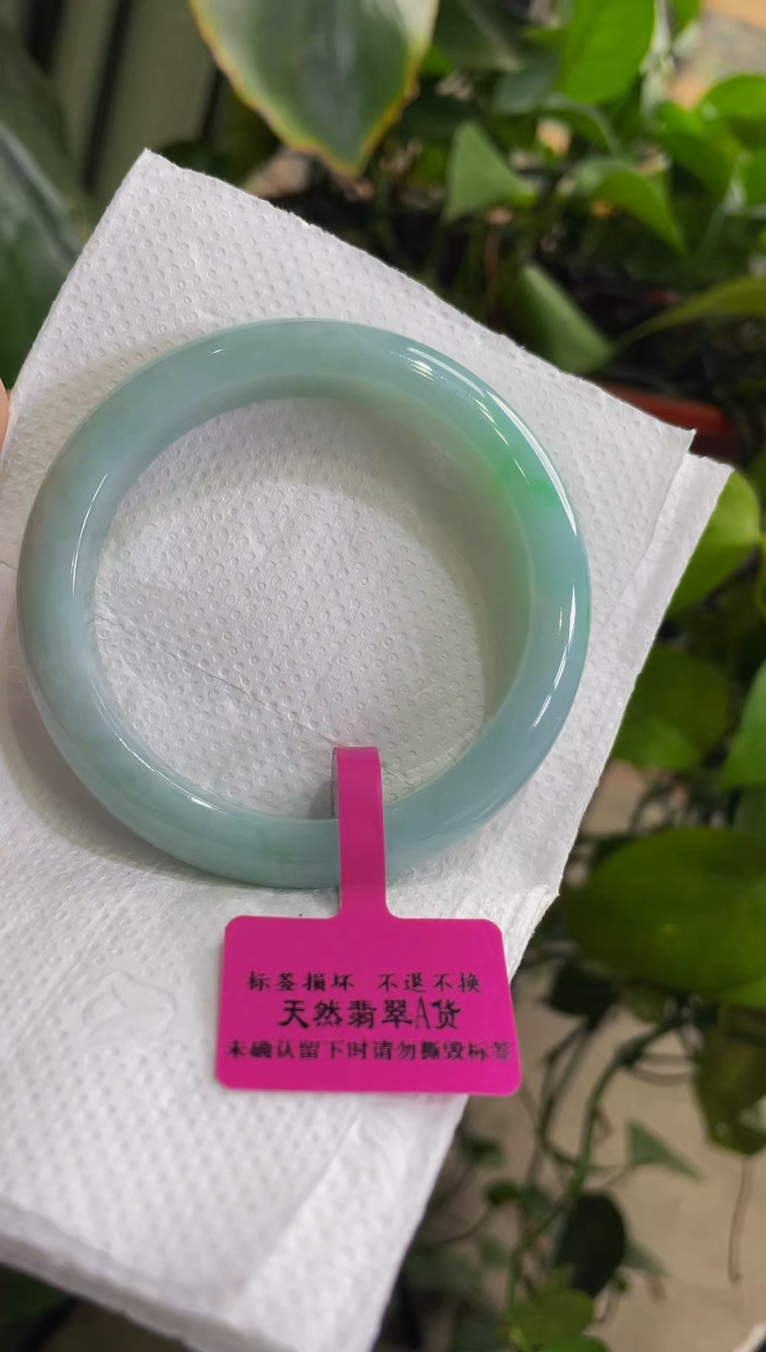 翡翠未镶嵌手镯307手镯53.3