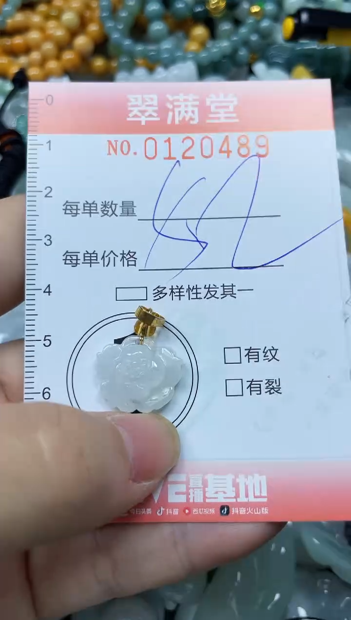 翡翠未镶嵌颈饰闪购0120489