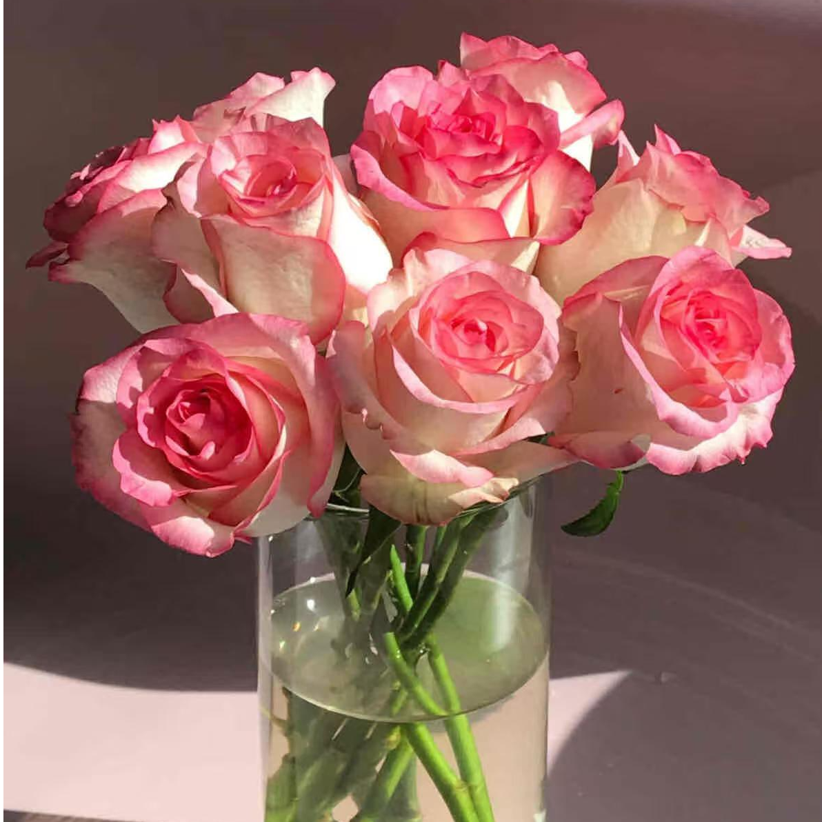 【艾莎玫瑰】云南直发玫瑰鲜花两单顺丰冷链包邮LT