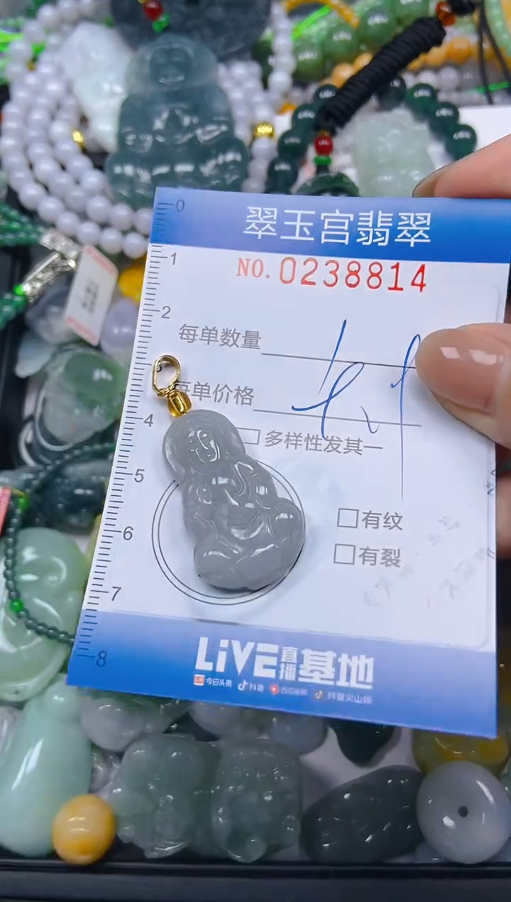 颈饰未镶嵌翡翠闪购C0238814