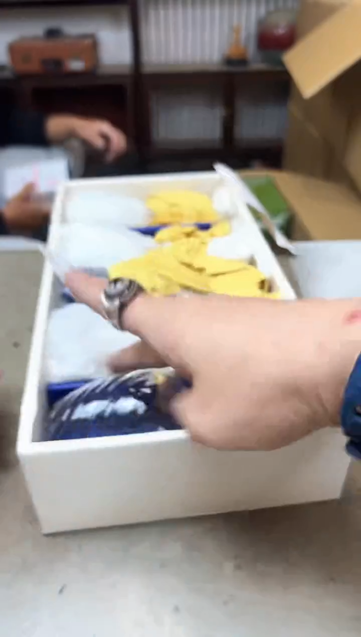 瓷片1275聚宝缘海淘精选